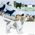 Grand Basset Griffon Vendéen Scenic Square Coaster