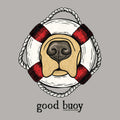 Illustration of a golden retriever's nose and muzzle framed by a red and white lifebuoy with the pun "good buoy" written underneath on a grey background.
