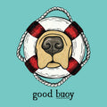 Illustration of a dog's face inside a life buoy with 'good buoy' text on a teal background
