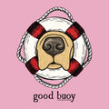 Illustration of a dog's face inside a life buoy with 'good buoy' text on a pink background