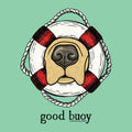 Illustration of a golden retriever's nose and muzzle framed by a red and white lifebuoy with the pun "good buoy" written underneath on a light green background.