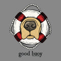 Illustration of a golden retriever's nose and muzzle framed by a red and white lifebuoy with the pun "good buoy" written underneath on a grey background.