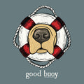 Illustration of a dog's face inside a life buoy with 'good buoy' text on a gray background