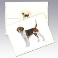 Harrier Note Cards