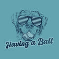 Having a Ball - Sweatshirt Pullover Hoodie