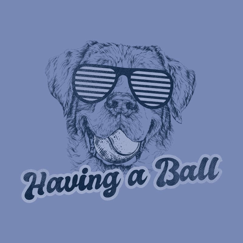 Having a Ball- Youth Short Sleeve T-Shirt