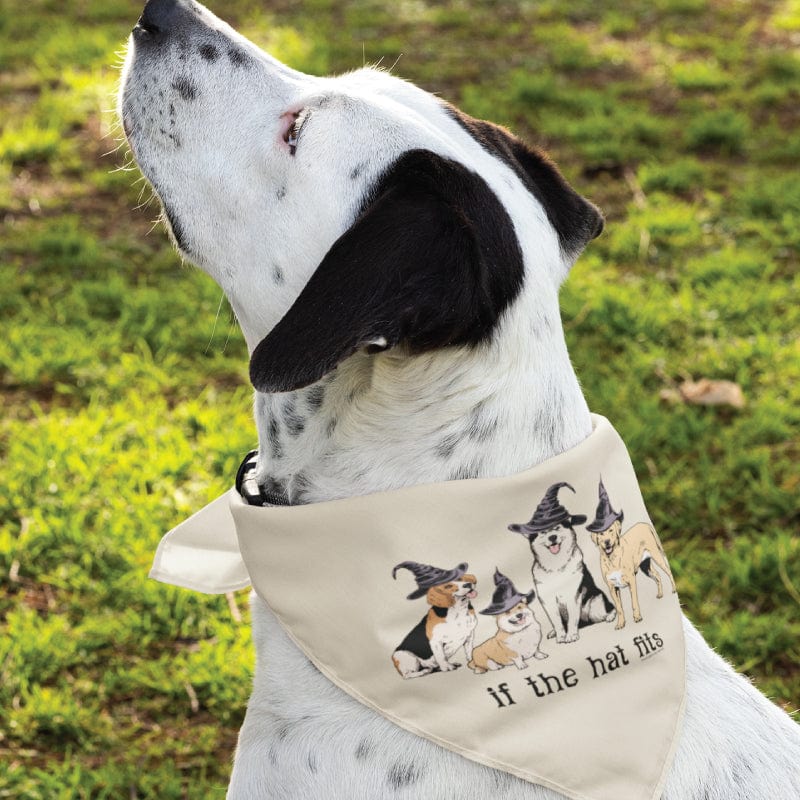 If the Hat Fits - Doggie Bandana