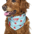 Canada Pooch Cooling Dog Bandana, Watermelon