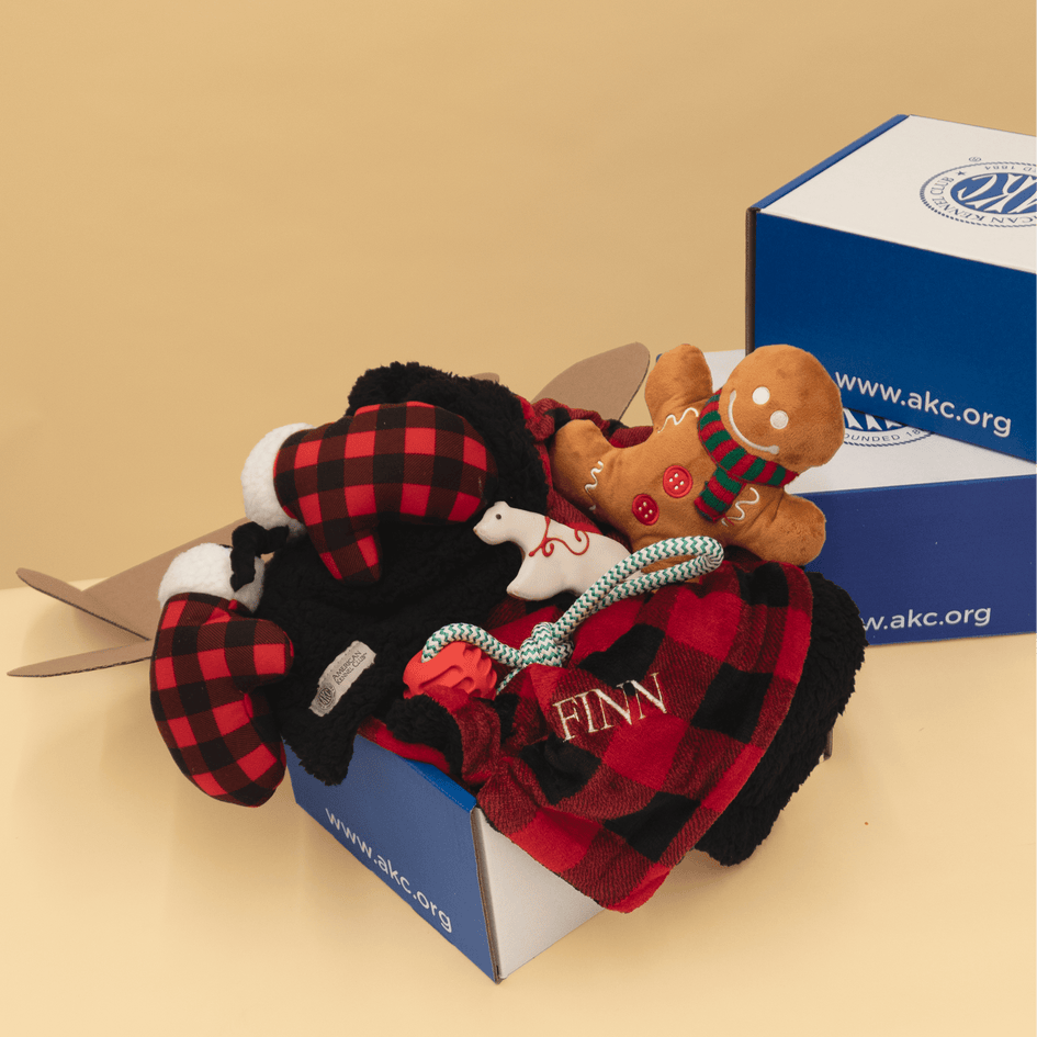 AKC 2025 Personalized Holiday Box