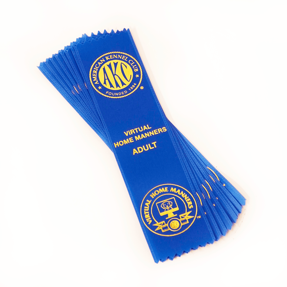 Virtual Home Manners Ribbons - Adult (10 per pack)