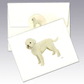 Lagotto Romagnolo Note Cards
