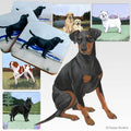 Manchester Terrier Scenic Square Coaster