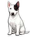 Miniature Bull Terrier Watercolor - Ceramic Mug