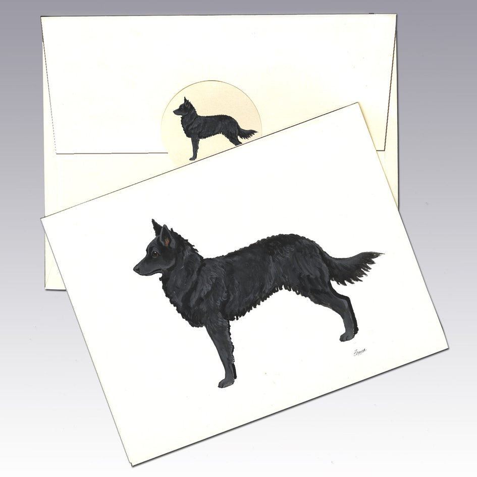 Mudi Note Cards