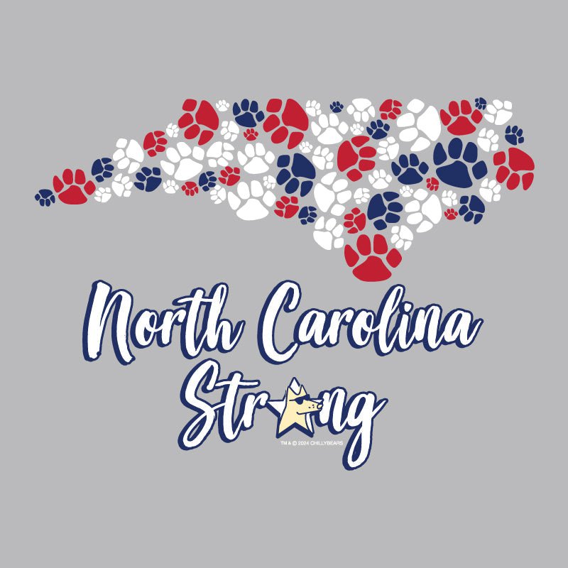 North Carolina Strong - Ladies T-Shirt V-Neck