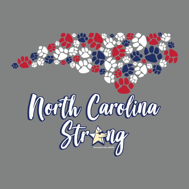 North Carolina Strong - Ladies Curvy V-Neck Tee