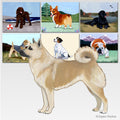 Norwegian Buhund Scenic Cutting Board