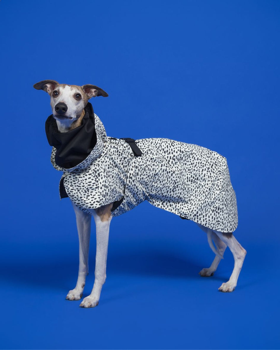 PAIKKA Dog Raincoat 2.0