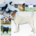 Parson Russell Terrier Scenic Square Coaster