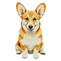 Pembroke Welsh Corgi Watercolor - Ceramic Mug