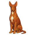 Pharaoh Hound Watercolor - Ceramic Mug