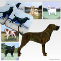 Plott Hound Scenic Square Coaster