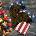 Plott Hound Americana Kitchen Towel Set