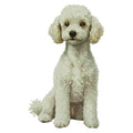 Miniature Poodle Watercolor - Ceramic Mug