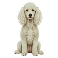 Poodle Watercolor - Ceramic Mug
