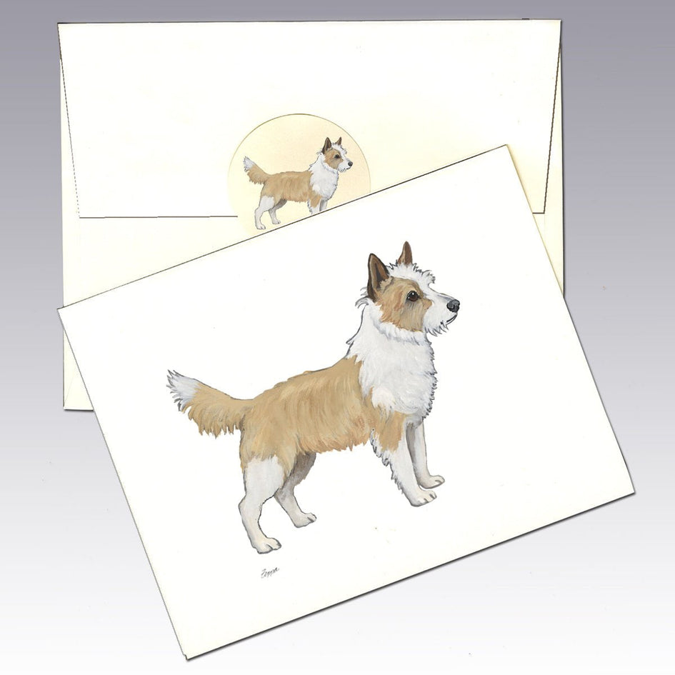 Portuguese Podengo Pequeno Note Cards