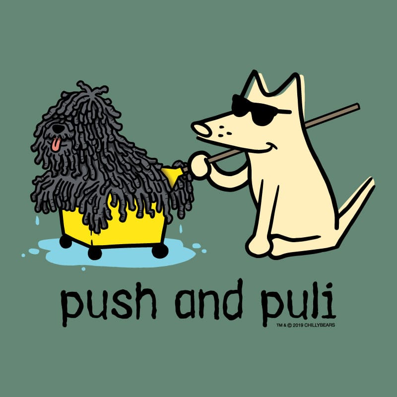 Cartoon dog pushing a fluffy dog in a yellow cart with 'push and puli' text on a green background.