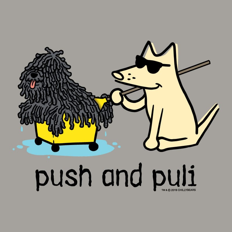Cartoon dog pulling a fluffy dog in a yellow cart with 'push and puli' text on a gray background.