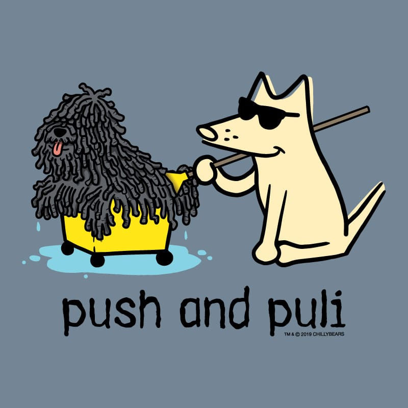 Cartoon dog pushing a fluffy dog in a cart with 'push and puli' text on a blue background.