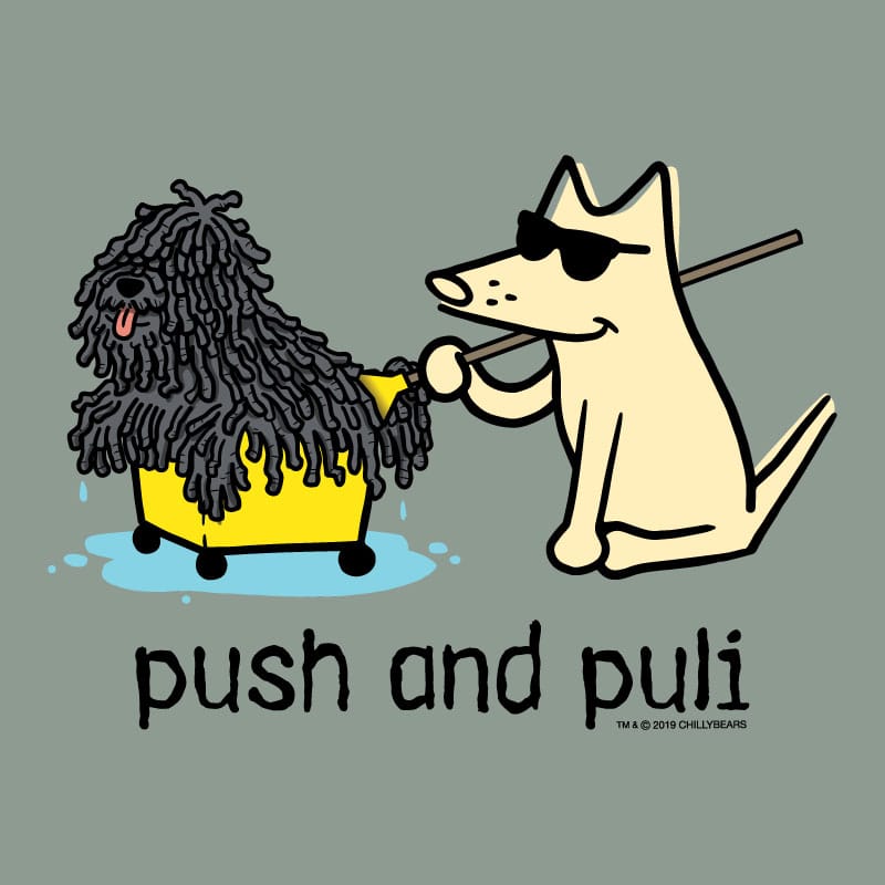 Cartoon dog pulling a fluffy dog in a cart with 'push and puli' text on a gray background.