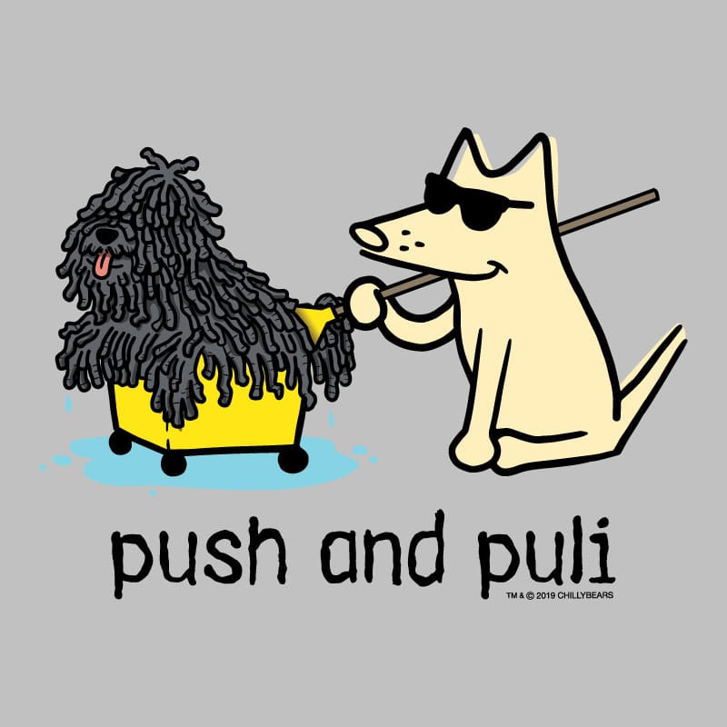 Cartoon dog pushing a fluffy dog in a yellow cart with 'push and puli' text on a gray background.