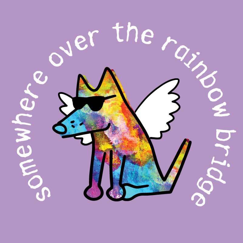 Somewhere Over The Rainbow Bridge - Ladies T-Shirt V-Neck