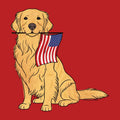 Red White and Golden - Ladies Racerback Tank Top