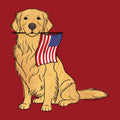 Red White and Golden - Ladies T-Shirt V-Neck