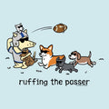 Ruffing the Passer - Lightweight Tee