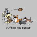 Ruffing the Passer - Ladies T-Shirt V-Neck