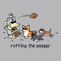 Ruffing the Passer - Ladies Curvy V-Neck Tee