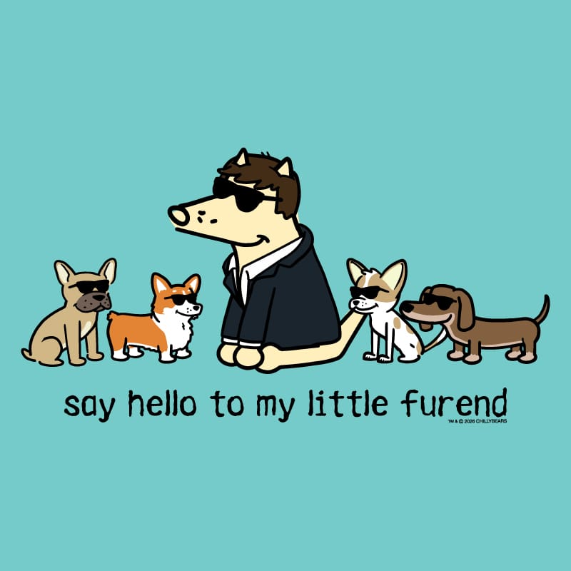 Say Hello to my Little Furend - Sweatshirt Pullover Hoodie