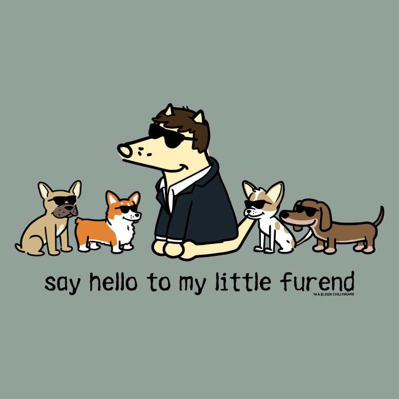 Say Hello to my Little Furend - Sweatshirt Pullover Hoodie