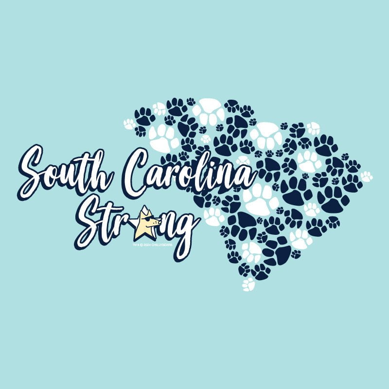 South Carolina Strong - Classic Tee