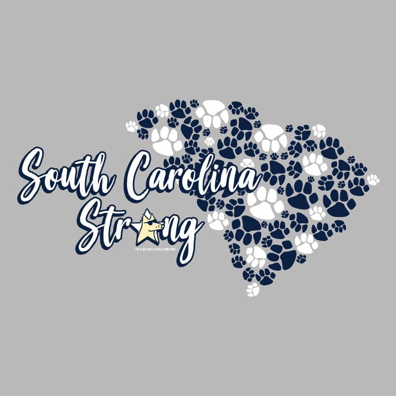 South Carolina Strong - Lightweight Tee