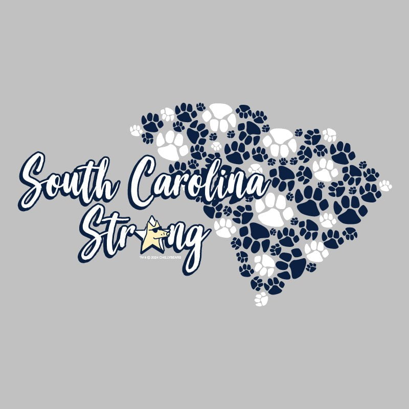 South Carolina Strong - Ladies T-Shirt V-Neck