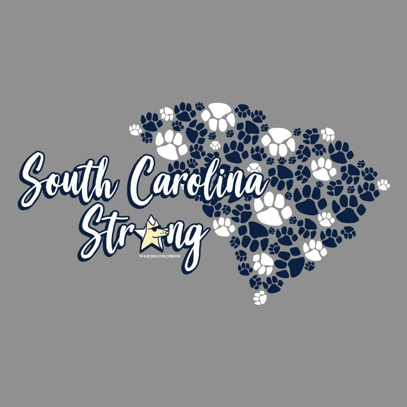 South Carolina Strong - Ladies Curvy V-Neck Tee