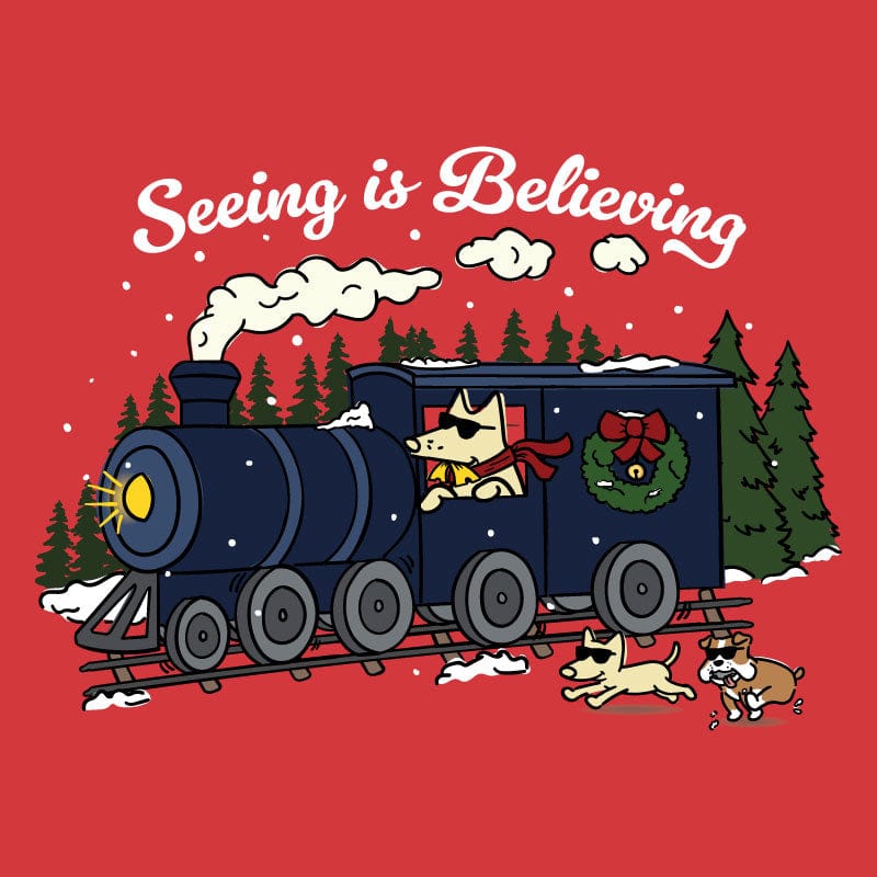 Seeing Is Believing - Ladies Curvy V-Neck Tee