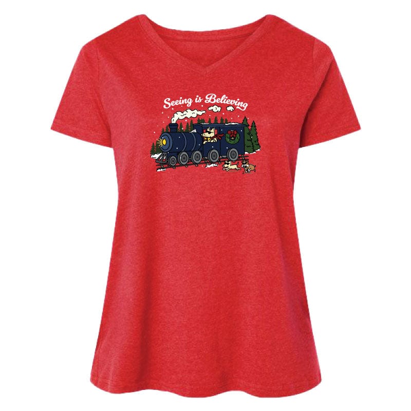 Seeing Is Believing - Ladies Curvy V-Neck Tee