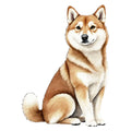 Shiba Inu Watercolor - Ceramic Mug